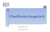 Clasificatia Bugetara_curs Extins APC
