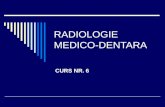 Radiologie Curs 6.Ppt