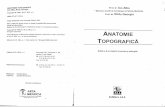 106736618 Anatomie Topografica Ion Albu Bucuresti 1998