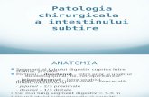 Patologie Chirurgicala Intestin Subtire