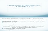 PatPatologie esofag.pptologie esofag