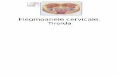 Flegmoane Cervicale