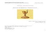 Optional Elemente de Practica Bisericeasca Final2