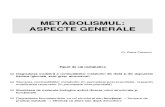 Metabolism Glucidic - Curs 1