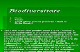 2. Biodiversitatea Deltei Dunarii - Aspecte Stiintifice Bobonici Andreea XIB