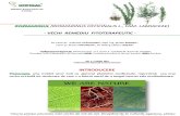 3920_EsDg_ROZMARINUL_vechi remediu fitoterapic_Vlasceanu_Hofigal_Bucuresti_Romania.pdf