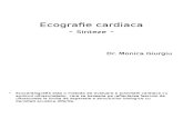 Ecografie Cardiaca