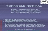 Toracele normal 150121065014 Conversion Gate01