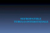 Curs 4 Nefropatiile Tubulo Interstitiale