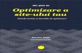 Ghid Optimizare Site Web
