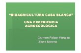 Bio Agri Cultura