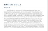 Emile Zola - Munca