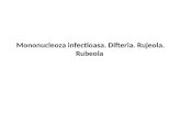 CURSUL 10 - MNI, Difteria, Rujeola, Rubeola