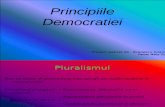 Principiile Democratiei(1).ppt