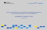 Ghid Practic - Web Final