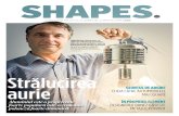 Shapes Magazine 2015 #1 Romanian