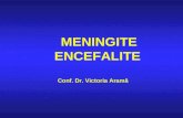 CURS-meningite 1