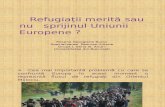 Bucur-Roxana-Georgiana_Refugiaţii Merită Sau Nu Sprijinul Uniunii Europene_2016