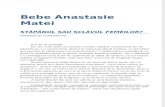 Bebe Anastasie Mate-Stapanul Sau Sclavul Femeilor 07
