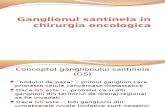 Rolul Ganglionului Santinela in Chirurgia Oncologica - 2013