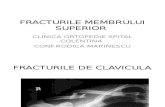 02 Fracturile MS