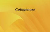 Patologia colagenoze_stagiu 11.ppt