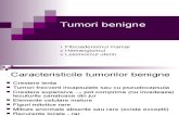 tumori benigne