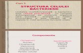 03 Structura Celulei Bacteriene