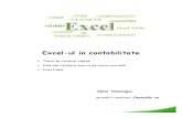 Excel-ul in Contabilitate