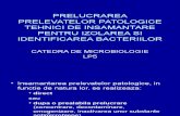 Lp 5 Microb Prelevare Preparate Patologice