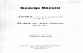 Enescu - Sonata Pentru Pian Si Violoncel, Op. 26, Nr. 1