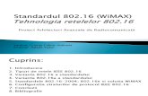 Proiect Grosan Calina-WiMAX 802.16