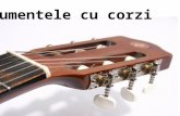 Instrumente Cu Corzi