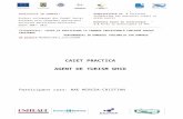 caiet practică agent turism Nae Mircea.doc
