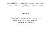 Euro Moneda Uniunii Economice Si Monetare Europene (1)