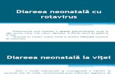 Infectii Cu Rotavirus La Vitei Si Purcei