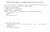 8 CURS Patologie Adolescent 2014 (2)