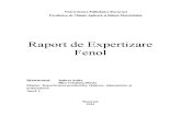Raport de expertiza Fenol