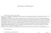 Arbori Binari.unlocked