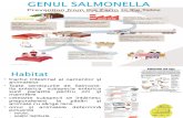 Salmonella Simptoame Si Profilaxia