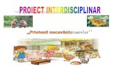 Proiect Interdisciplinar Mem