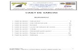 CAIETE DE SARCINI.doc