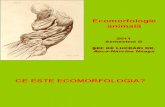 Curs 1 Ecomorfologie Animala Teorii