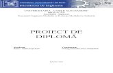 Proiect diploma Remus Leustean.docx