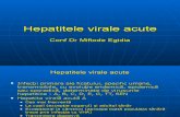 Hepatitele Virale Gen