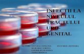 Infectiile tractului uro-genital