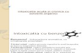 Intoxicatia Acuta Si Cronica Cu Solventi Organici