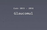9. Glaucom