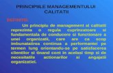 Principiile Managementului Calitatii 2