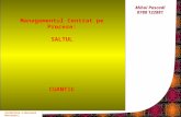 Bucureşti, Aprilie 2005 1 Conferinta e-Business Managementul Centrat pe Procese: SALTUL CUANTIC Mihai Pascadi 0788 122881.